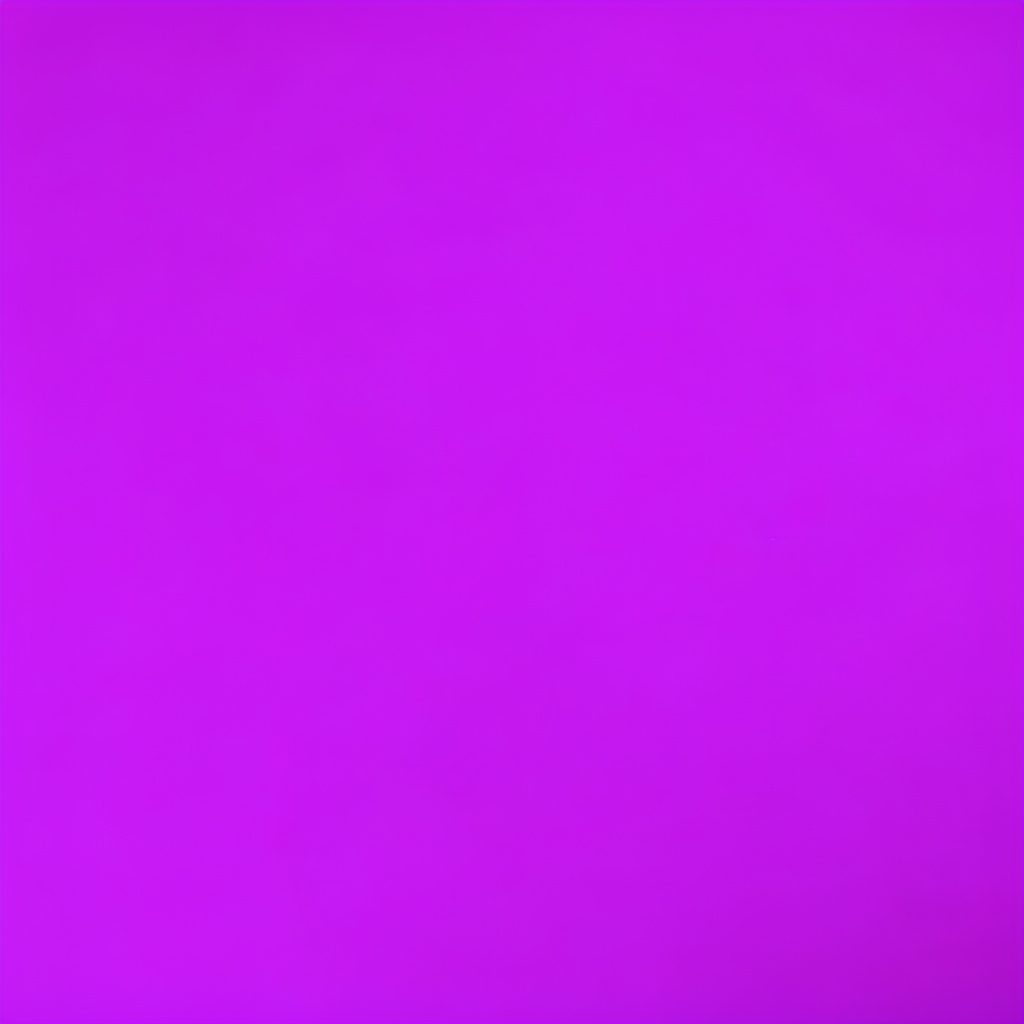 学生団体活動の様子を伝える写真